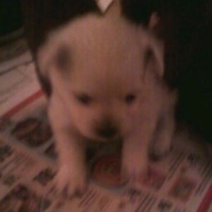 Meet your Posher, Andrea